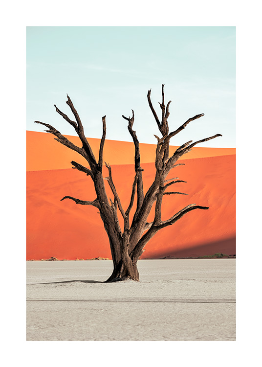  - Fotografía de un árbol sin hojas en el desierto, con dunas coloradas y cielo azul de fondo.