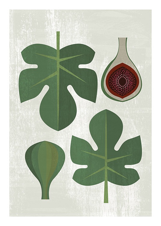  - Póster con el dibujo de dos higos y hojas verdes sobre un fondo verde claro con rayas blancas.