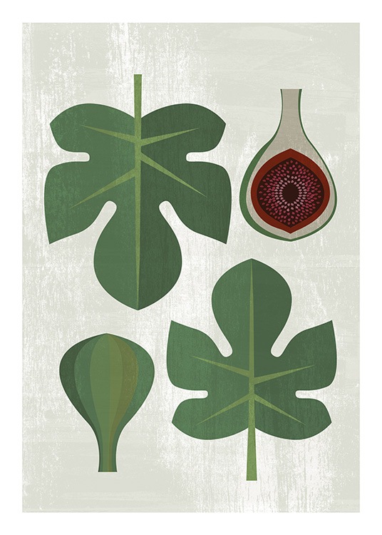 Fig Fruit Kitchen Poster