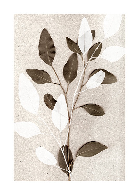  - Fotografía de dos ramas de eucalipto en beis y blanco sobre un fondo de piedra color beis.
