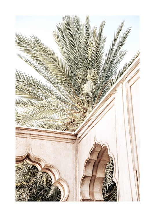  - Fotografía en tonos beis de una palmera detrás de arcos marroquíes.
