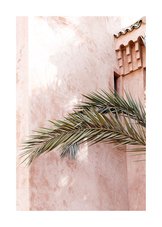  – Fotografía de un edificio con una fachada de yeso color rosado como tiza, con unas ramas de palmera en primer plano