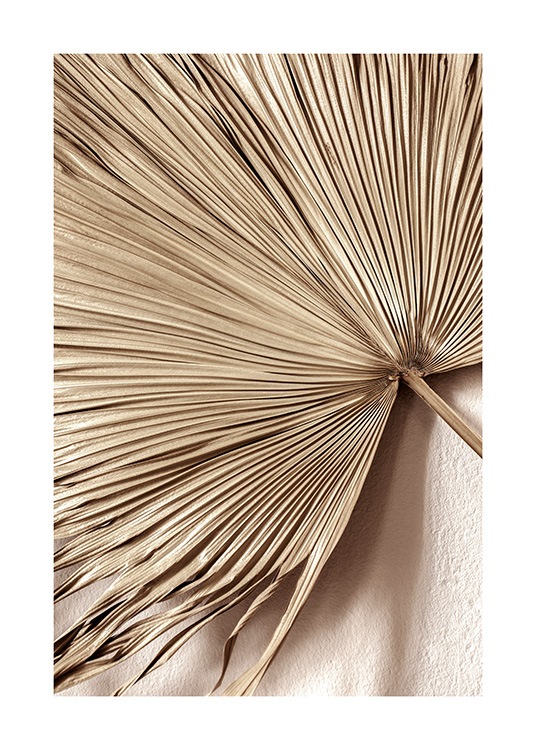  – Fotografía del primer plano de una hoja de palmera dorada en forma de abanico, con una pared color beis de fondo