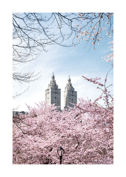  – Fotografía de dos torres y cielo azul claro al fondo de la imagen, y cerezos florecidos con flores rosas en el primer plano.