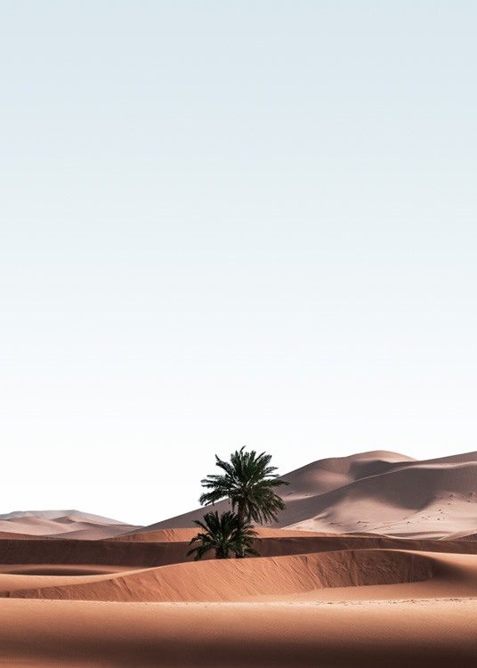  – Fotografía de un paisaje en el desierto con palmeras y dunas.