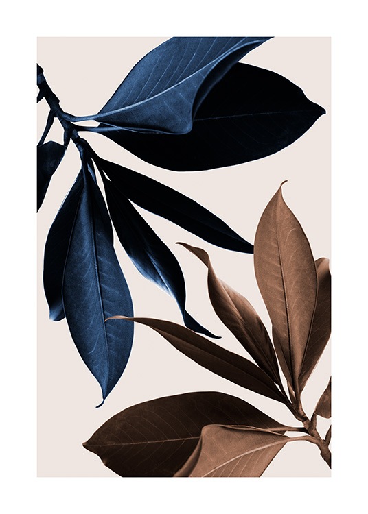  – Fotografía de hojas de magnolia azules y marrones, fondo beis.
