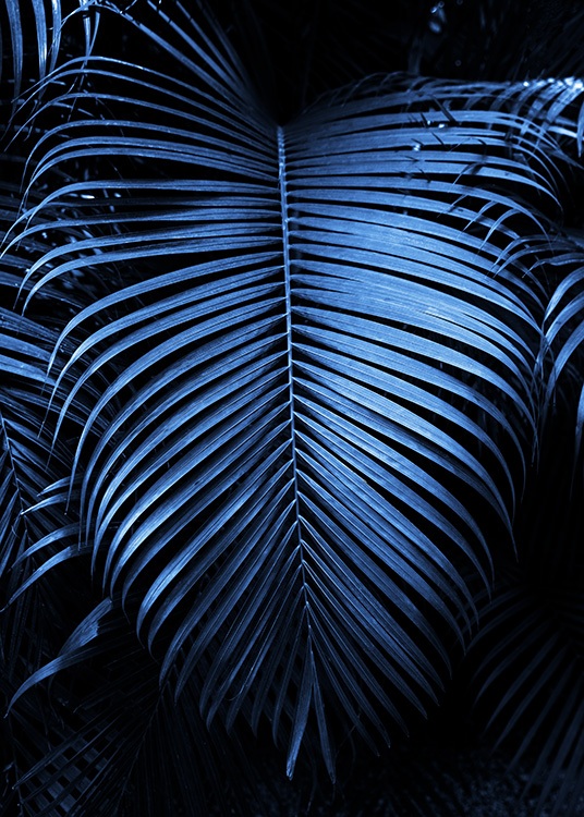  – Fotografía de una hoja grande de palmera color azul oscuro.