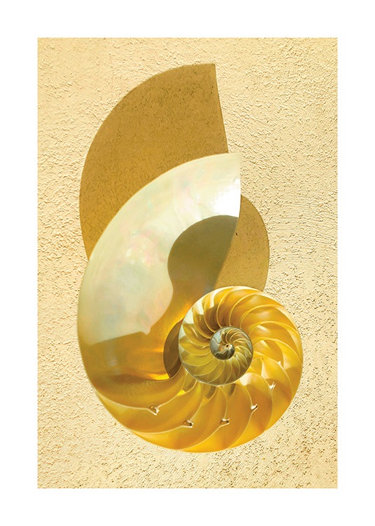  – Póster con la ilustración de una concha amarilla y blanco nacarado sobre un fondo amarillo claro.