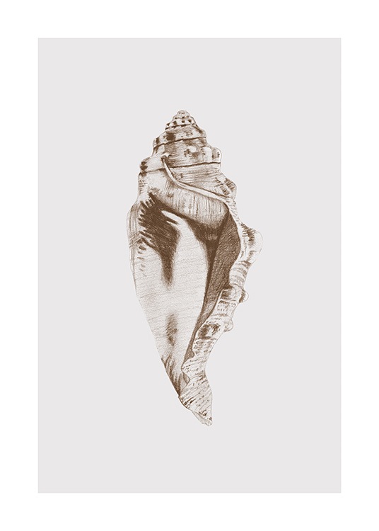 Conch Shell Poster