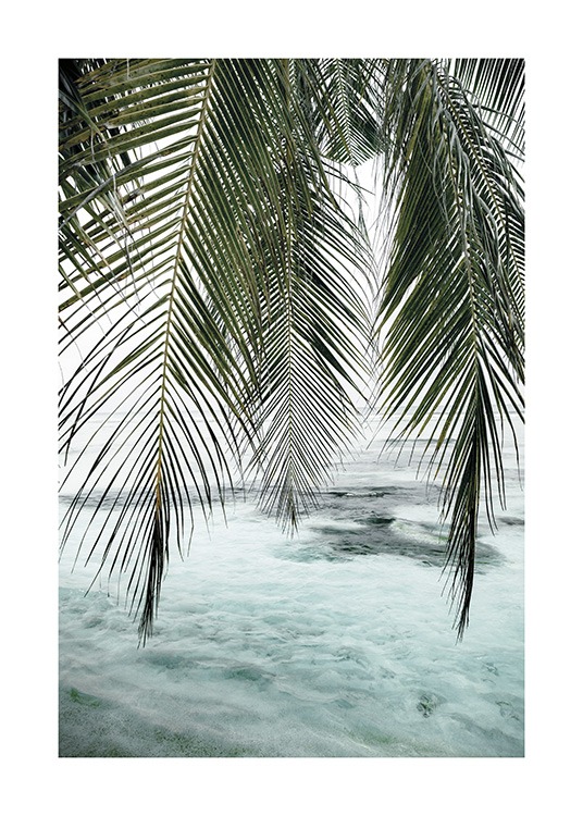  – Fotografía de hojas verdes de palmera y un mar azul de fondo.