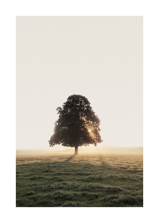 Misty Meadow Tree Poster