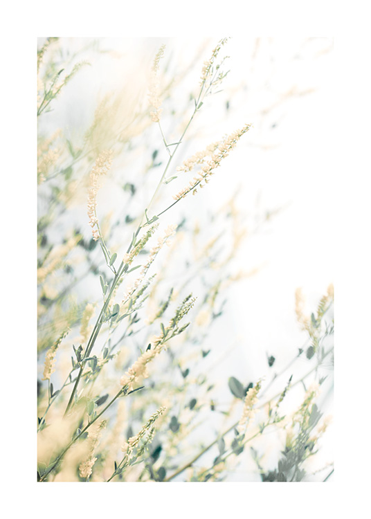  – Fotografía de flores amarillas con hojas verdes y fondo blanco.