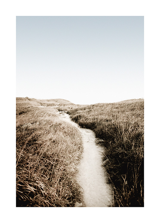  – Fotografía de un sendero de arena rodeado de vegetación y cielo azul de fondo.