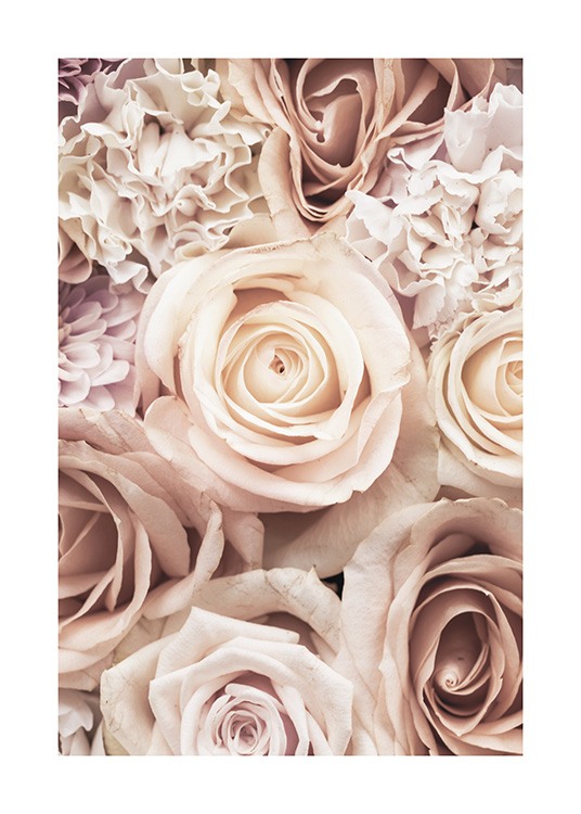  – Fotografía de un ramillete de rosas y claveles color rosa.