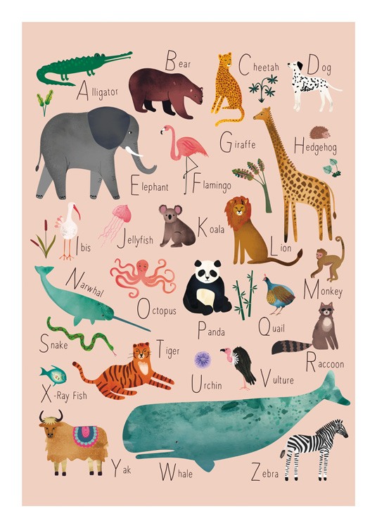  – Ilustración con animales y sus respectivos nombres que empiezan con cada una de las letras del abecedario.