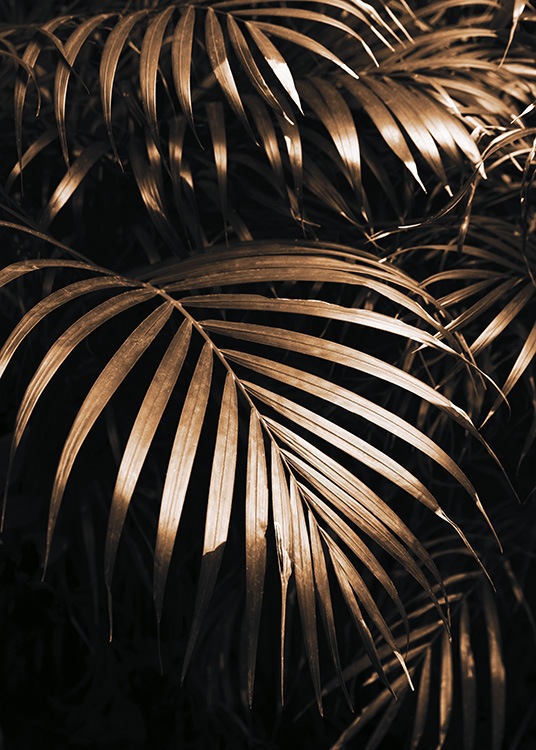  – Fotografía de unas hojas de palmera en color dorado con fondo negro.