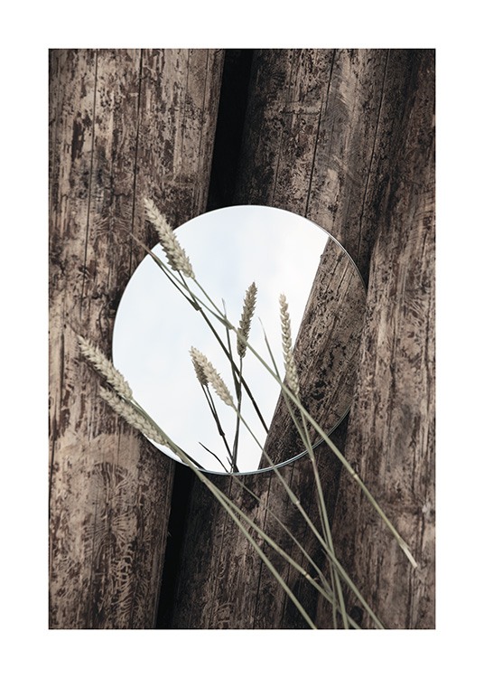  – Fotografía de unas espigas de trigo sobre un espejo redondo colocado sobre unos troncos de madera.
