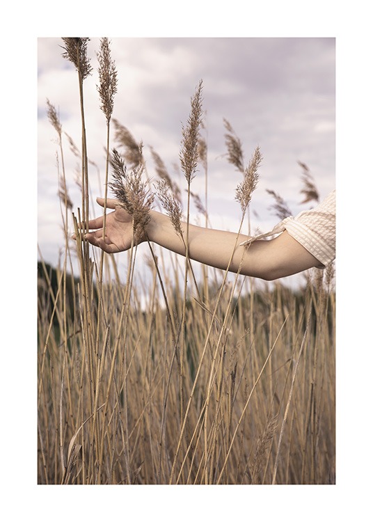  – Fotografía de una mujer con un brazo en alto en medio de un campo de juncos secos.