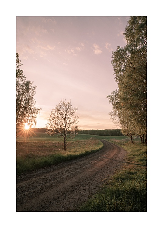  – Fotografía de un camino rural con árboles al atardecer, y cielo color pastel.