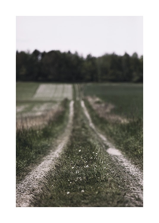  – Fotografía de un sendero en medio de un campo un fondo borrosos con árboles.