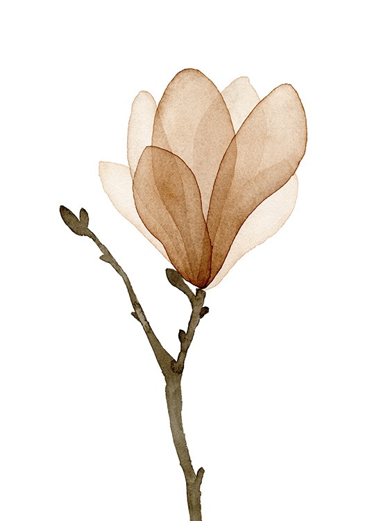  – Póster con una magnolia pintada en acuarela con un tallo marrón y beis, y fondo blanco