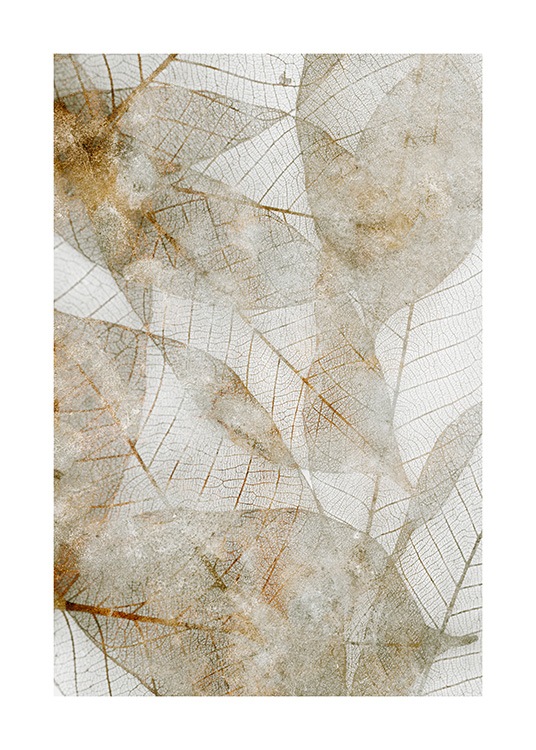  – Fotografía de hojas abstractas en dorado y beis
