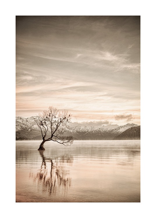  – Fotografía de un lago con un árbol, montañas de fondo y cielo nublado