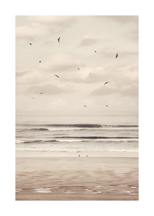  – Fotografía de pájaros volando en una playa, cielo nublado