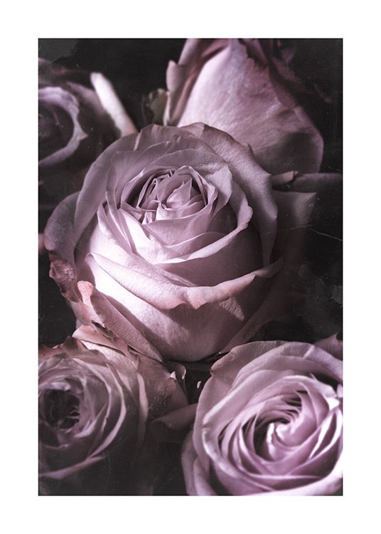 Antique Rose Bouquet Poster