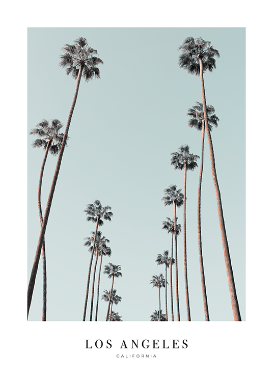  – Fotografía de palmeras altas bajo el cielo azul y la siguiente frase: “Los Angeles California”