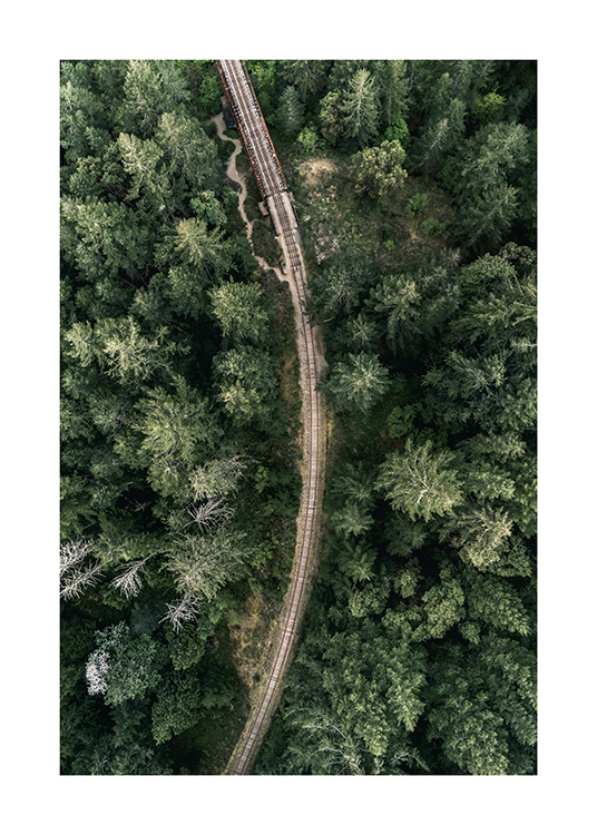  – Fotografía aérea de un bosque verde con una vía de tren en el medio del paisaje