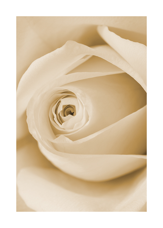  – Primer plano de los pétalos amarillos del centro de una rosa.