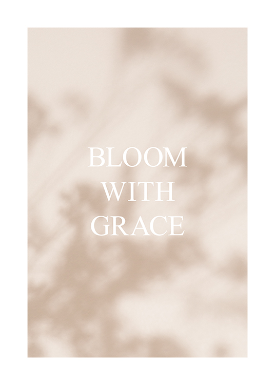  – Fotografía de la sombra de unas flores sobre un fondo beis claro con una frase en letras blancas