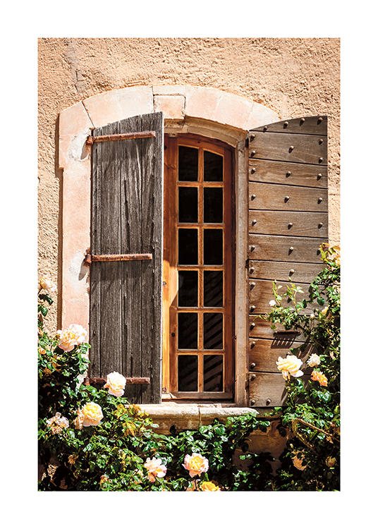  – Fotografía de un rosal en la fachada de una casa con una ventana de madera