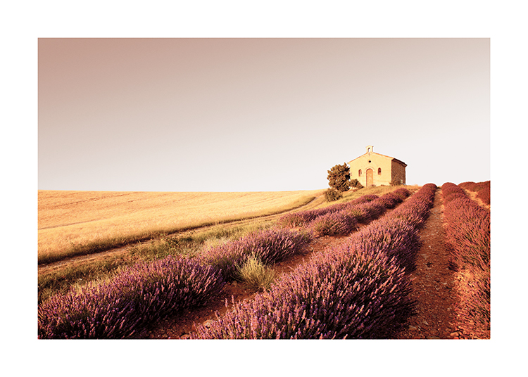  – Fotografía de una capilla en lo alto de una colina con brezales
