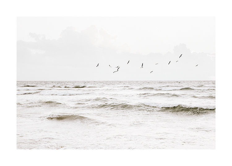  – Fotografía del mar con una bandada de pájaros en el cielo