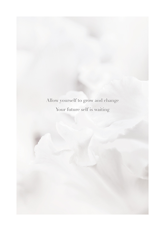  – Cita sobre crecimiento personal con la fotografía de la sombra de unas flores de color claro de fondo