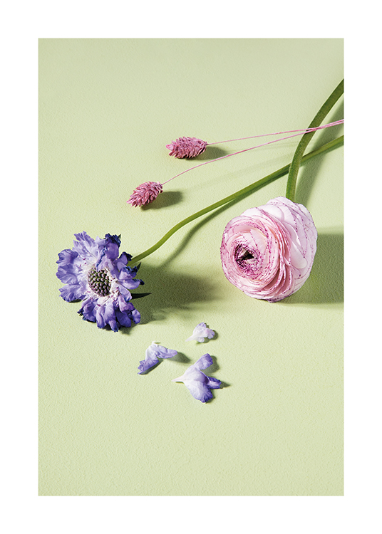  – Fotografía con flores azules y rosas sobre un fondo verde