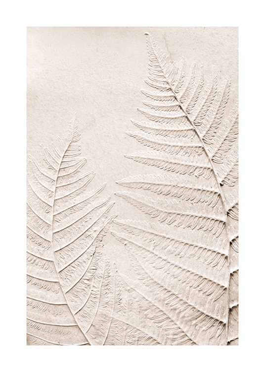  – Fotografía de hojas de helecho prensadas sobre una superficie color beis