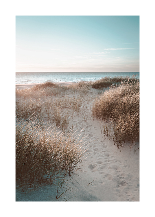  – Fotografía de un paisaje con dunas, juncos y el mar de fondo
