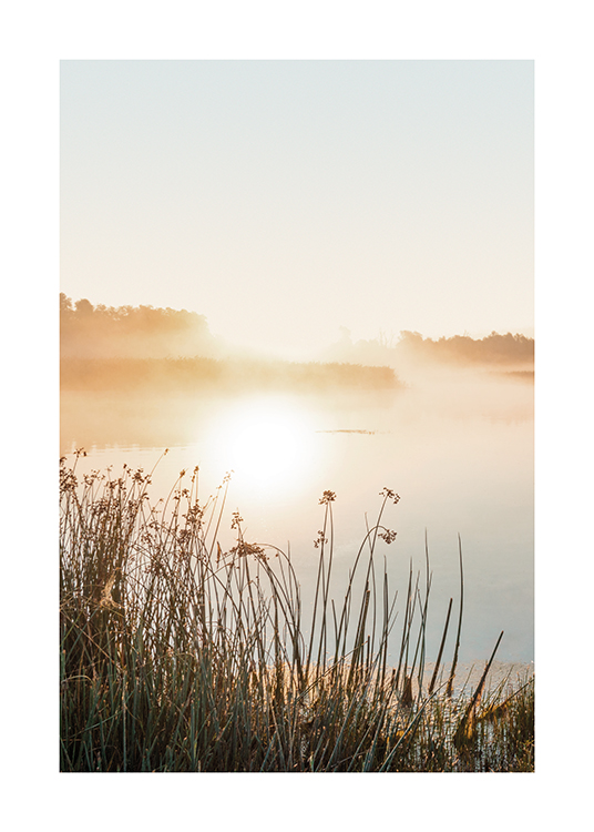  – Fotografía de un lago sereno bajo la niebla con pasto en primer plano y sol y árboles en segundo plano