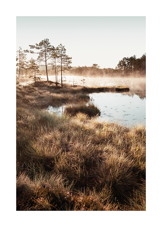  – Fotografía de un pastizal alrededor de una laguna con árboles y neblina de fondo