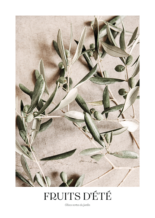  – Fotografía de unos ramitos de olivo apoyados sobre una superficie de piedra color beis