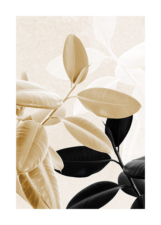  – Fotografía de plantas de ficus doradas y negras y fondo con siluetas de hojas semitransparentes
