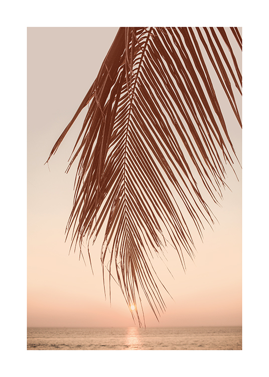  – Imagen de una hoja de palmera en una playa al atardecer