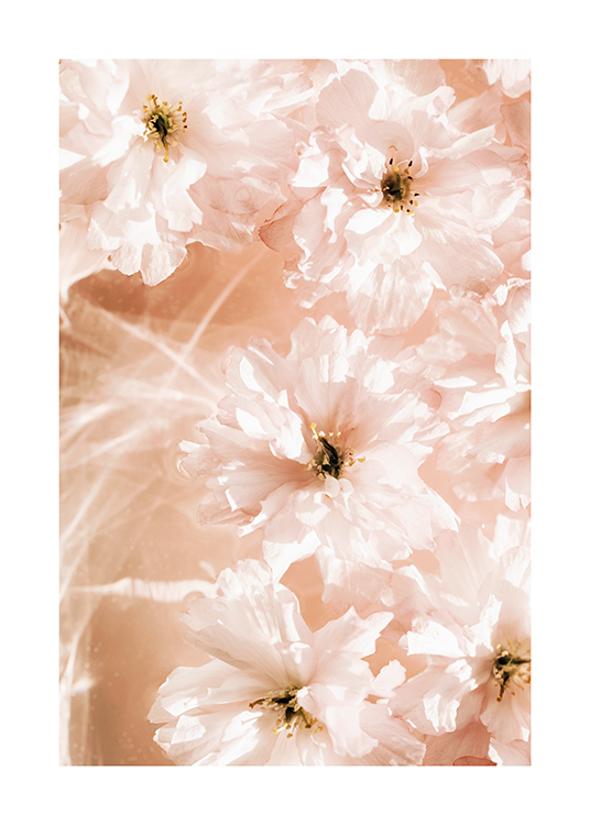  – Fotografía de un ramillete de flores con pétalos de color rosa claro flotando en el agua