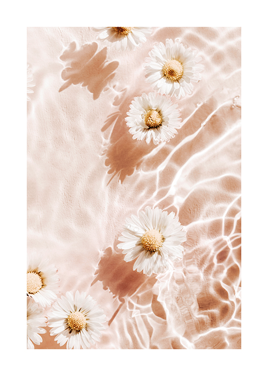  – Fotografía de unas flores blancas que flotan en el agua y fondo rosa claro
