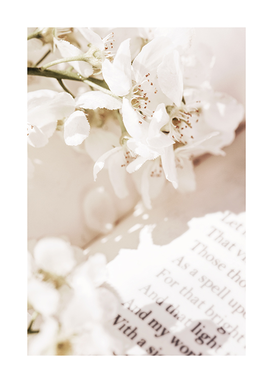  – Primer plano de la hoja de un libro con unas flores blancas encima