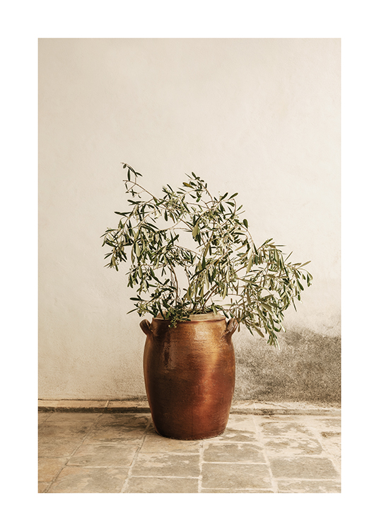  – Una rama de olivo en un florero
