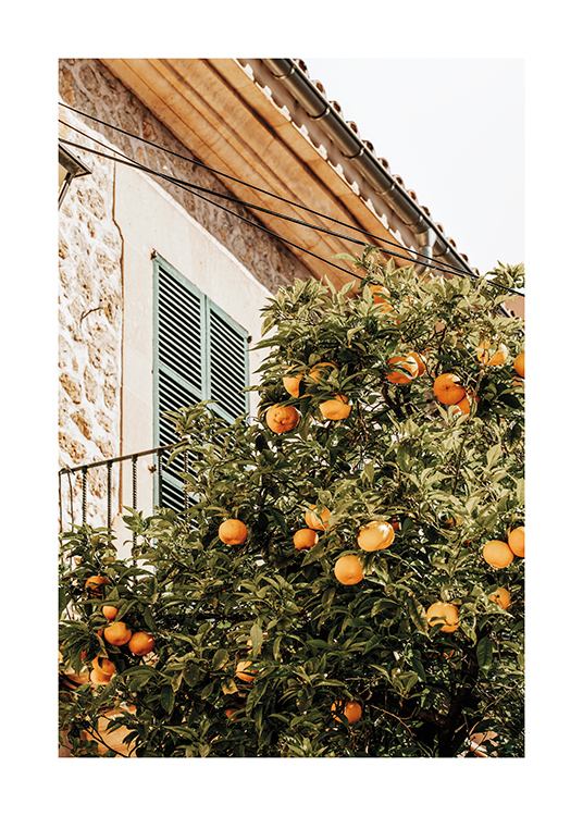  – Imagen de un naranjo en una pintoresca casa en España
